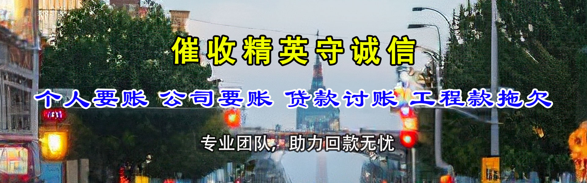 项城清数公司